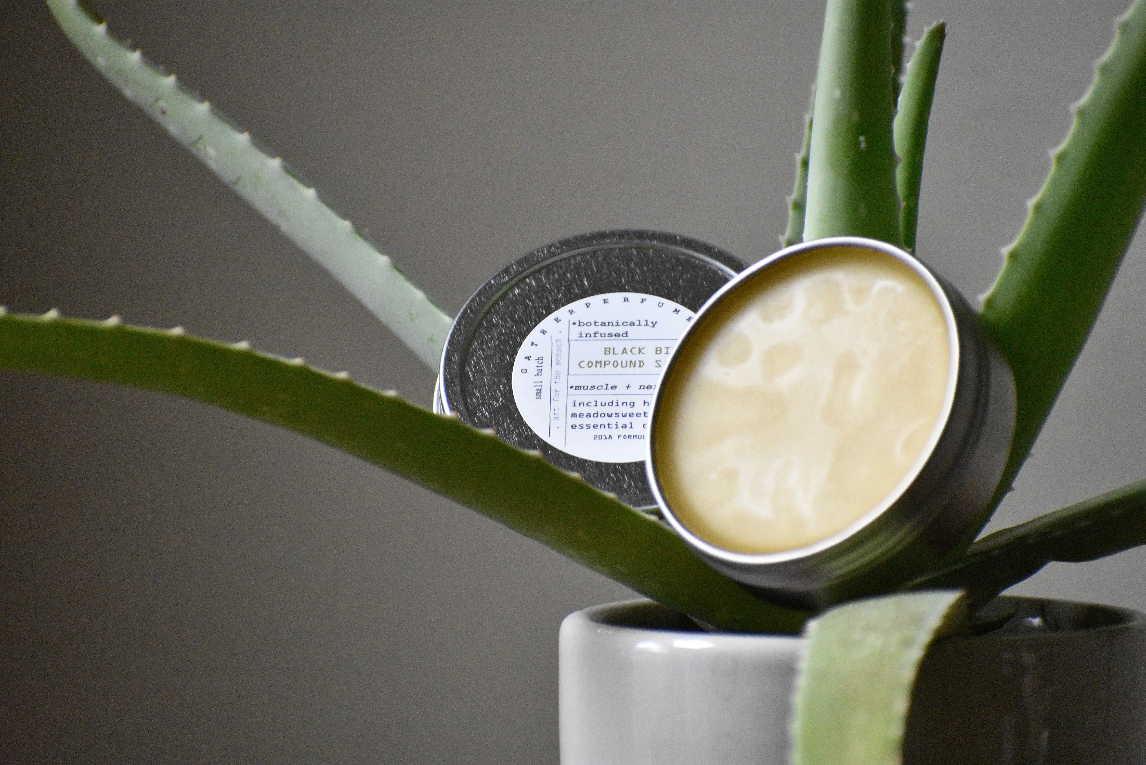 BLACK BIRCH Compound Salve | The Herbal Athlete | Muscle   Nerve Care Balm