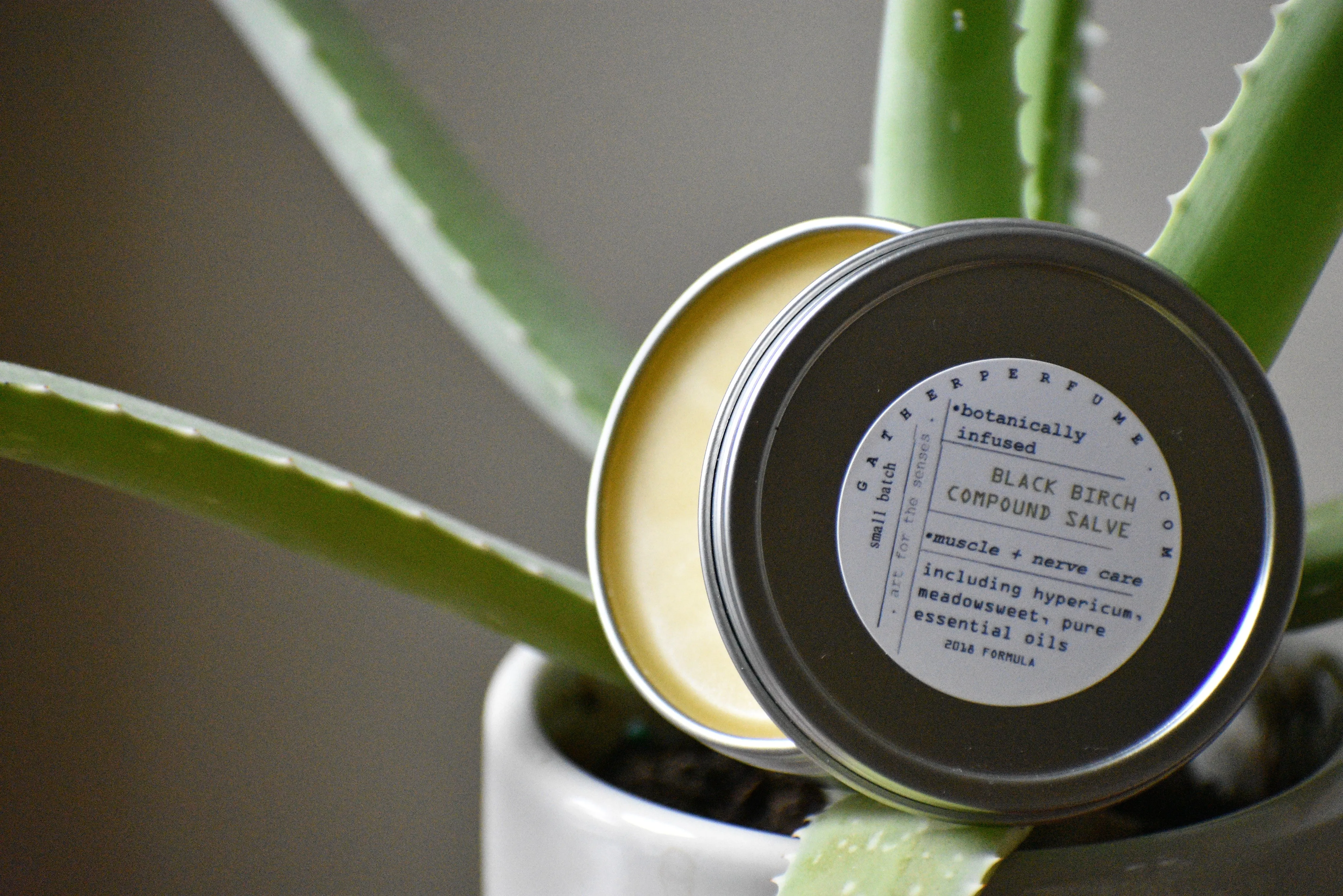 BLACK BIRCH Compound Salve | The Herbal Athlete | Muscle   Nerve Care Balm