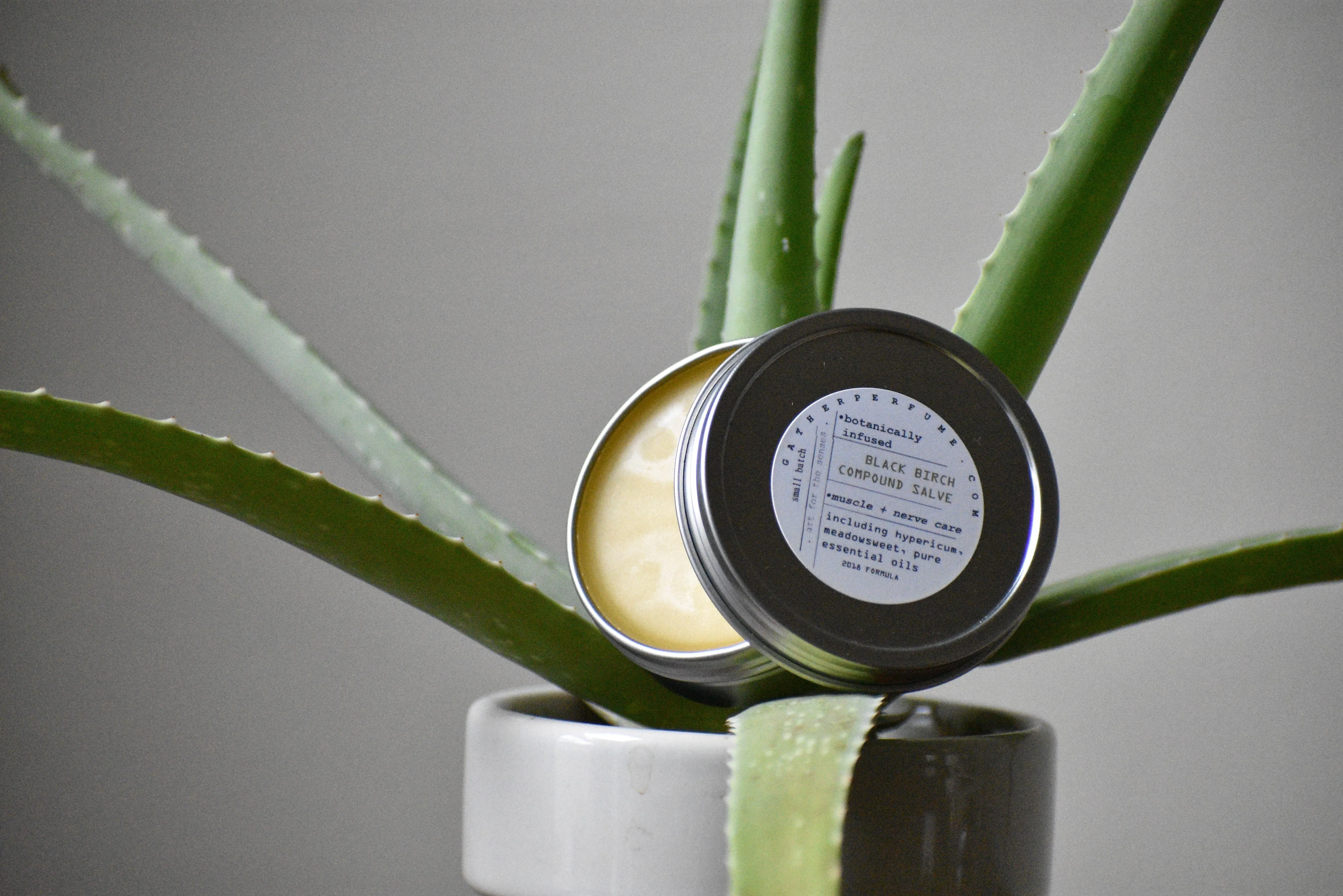 BLACK BIRCH Compound Salve | The Herbal Athlete | Muscle   Nerve Care Balm