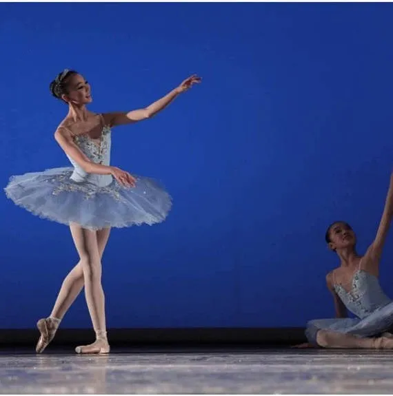 Blue Ombre Professional Tutu
