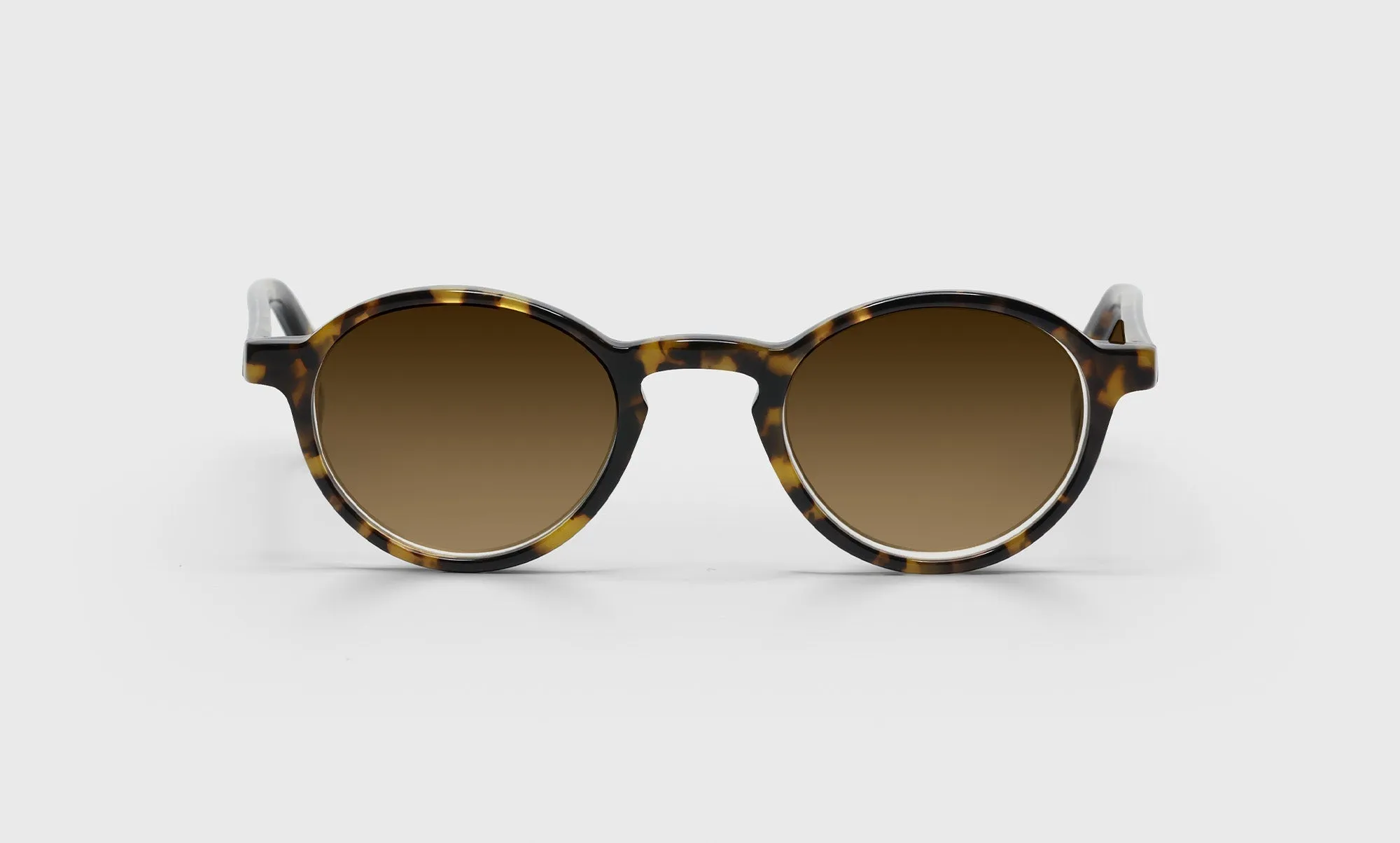 Board Stiff Sunglasses