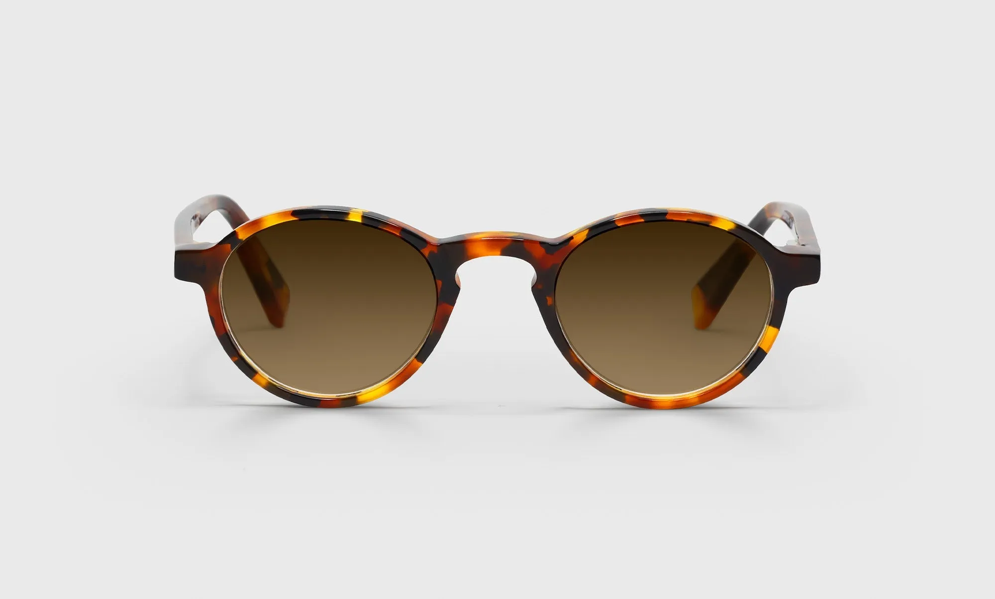 Board Stiff Sunglasses