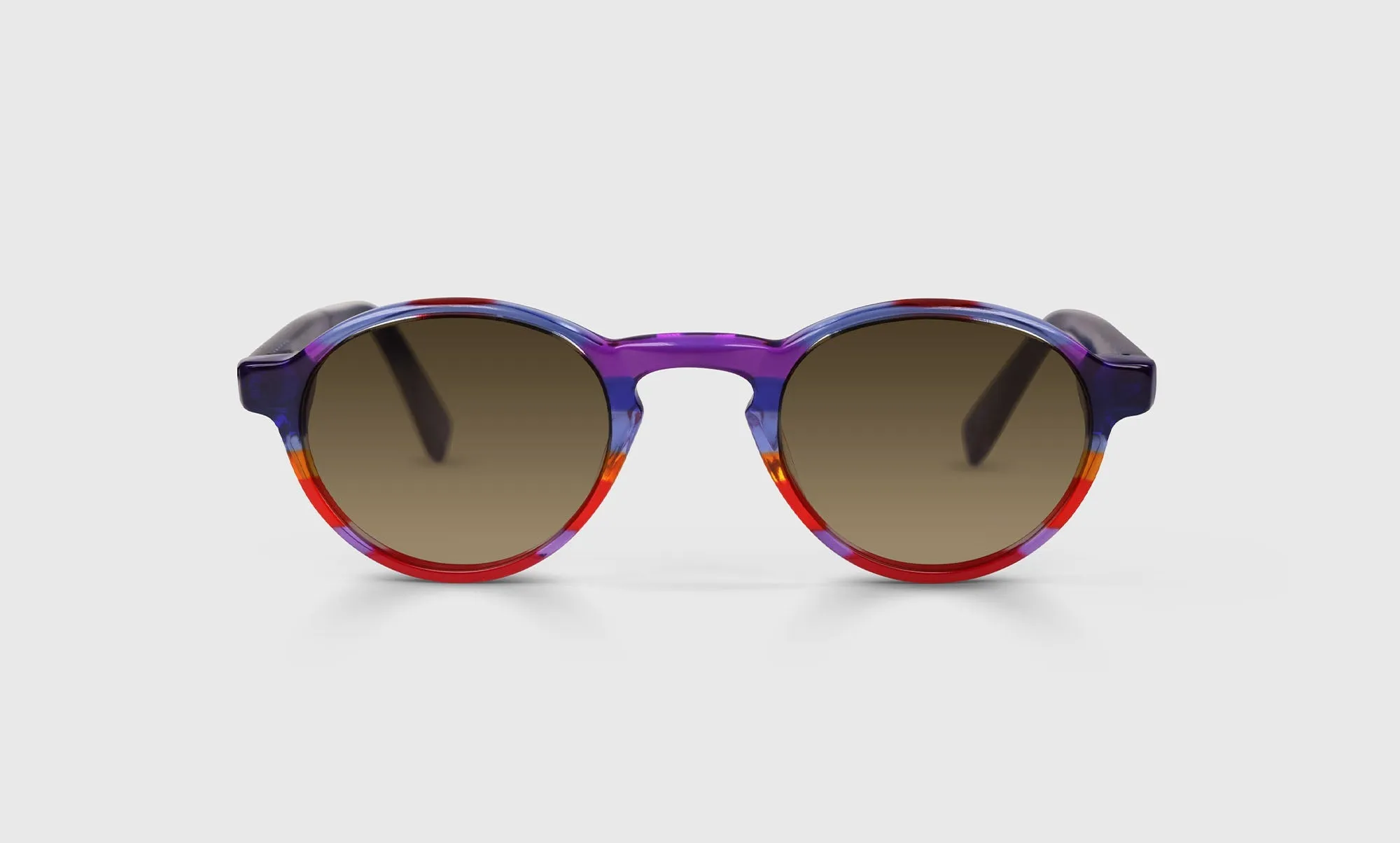 Board Stiff Sunglasses