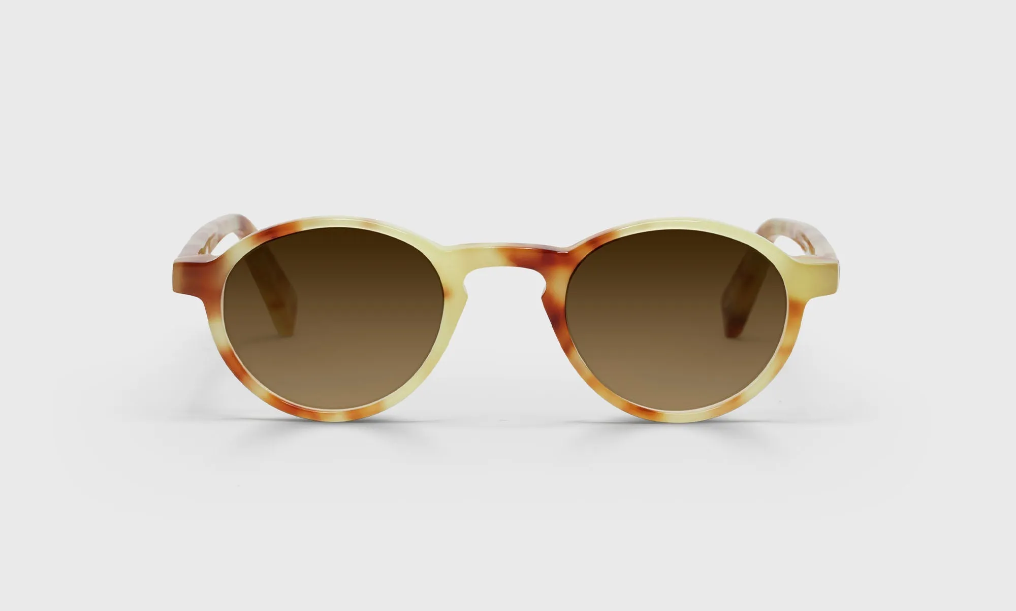 Board Stiff Sunglasses