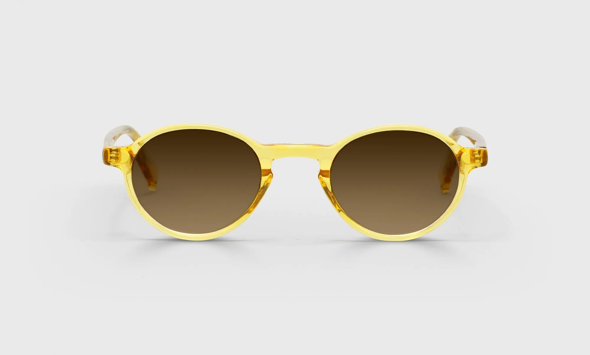 Board Stiff Sunglasses