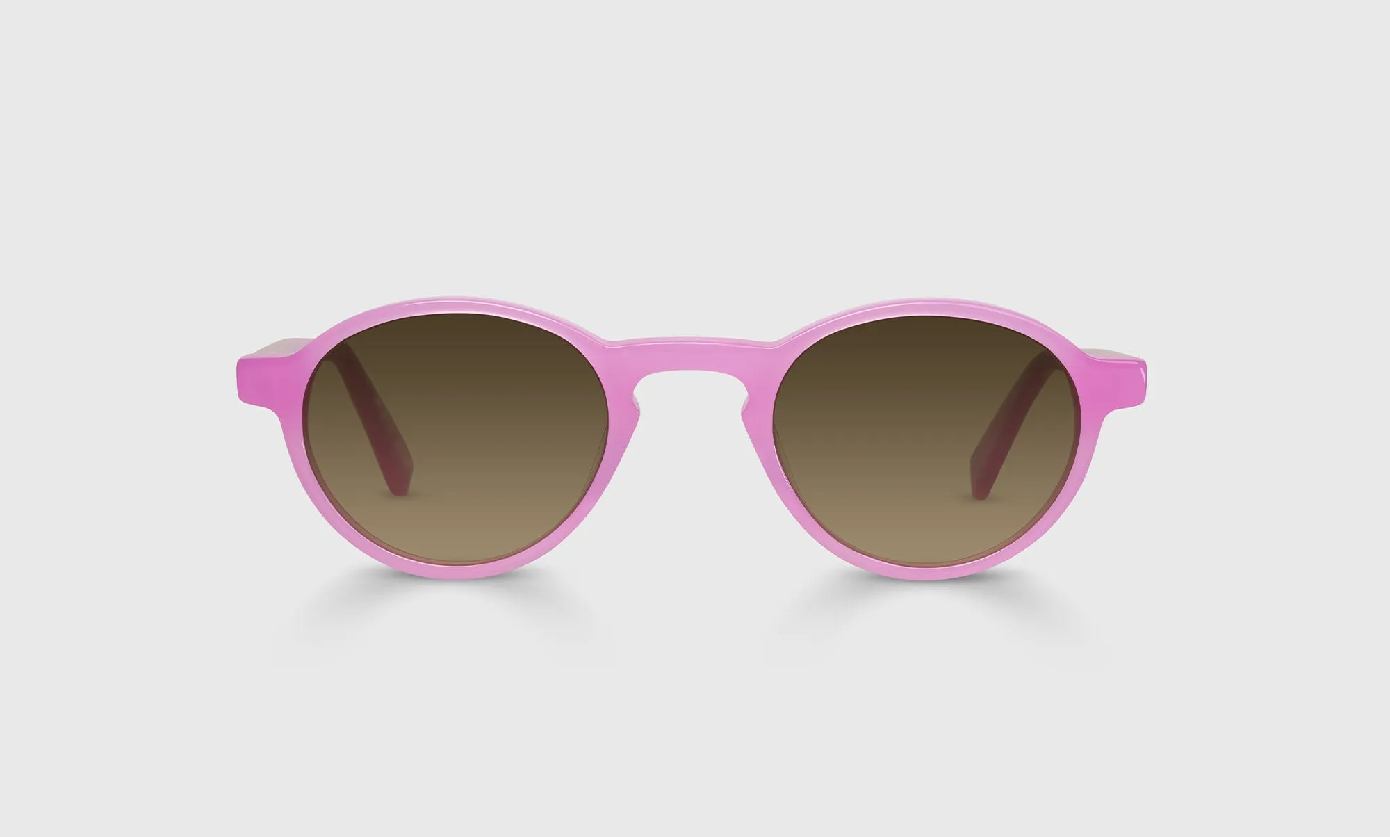 Board Stiff Sunglasses