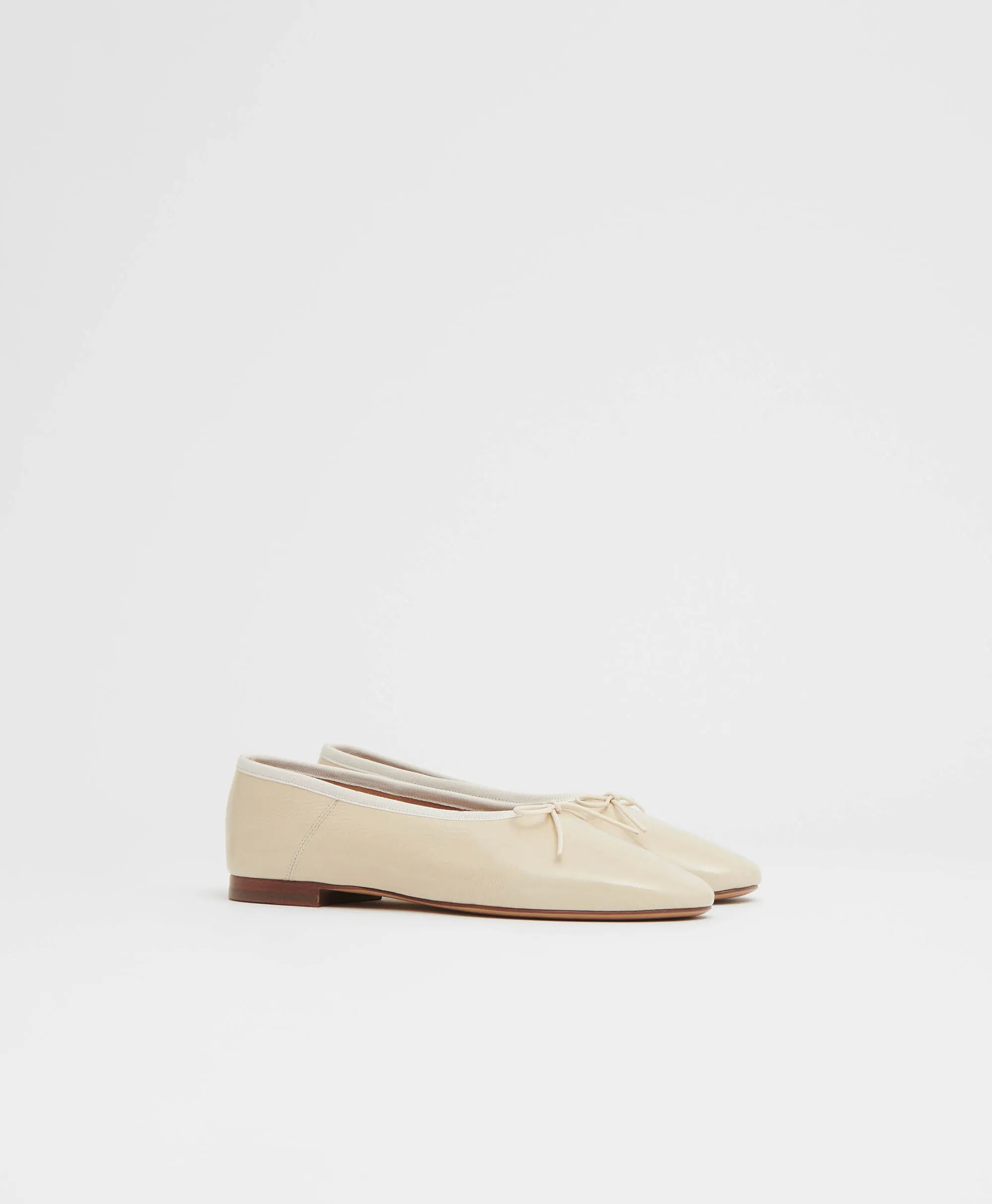 Dream Ballerina - Jasmine Naplak
