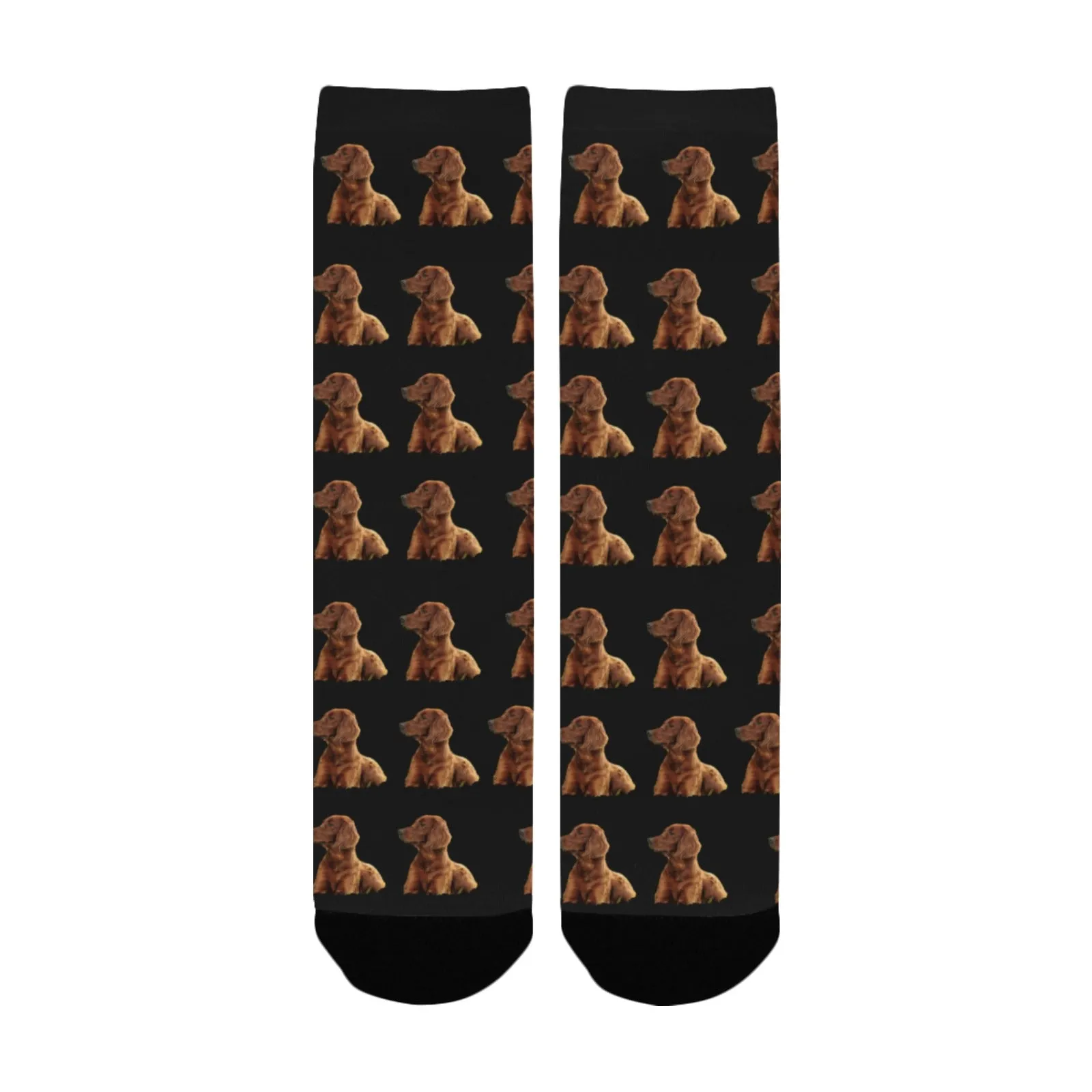 Irish Setter Socks