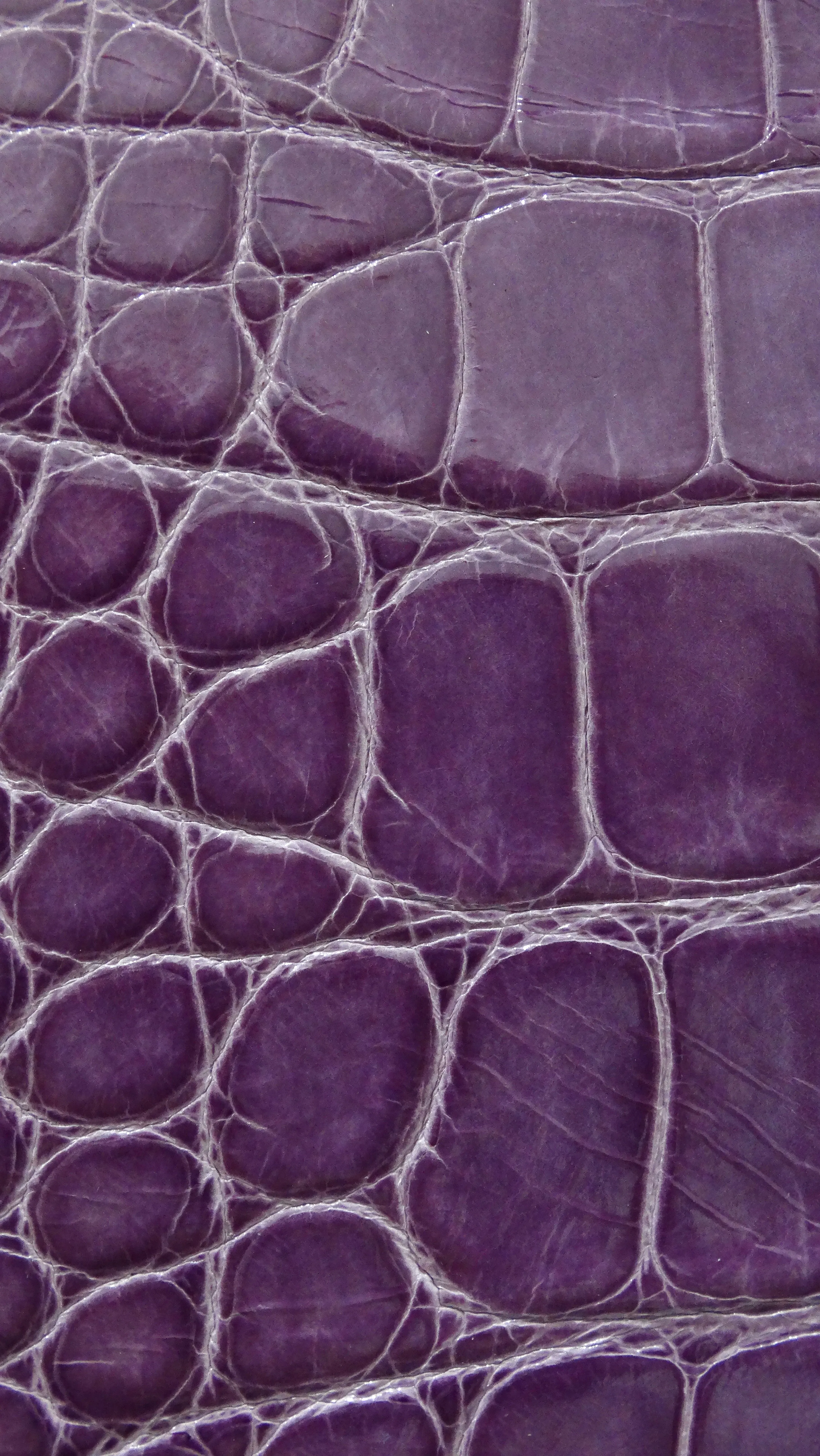 Louis Vuitton Purple Exotic Crocodile Brea Handbag