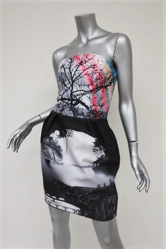 Mary Katrantzou Strapless Bustier Dress Landscape Print Twill Mini Size 6
