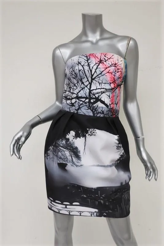 Mary Katrantzou Strapless Bustier Dress Landscape Print Twill Mini Size 6