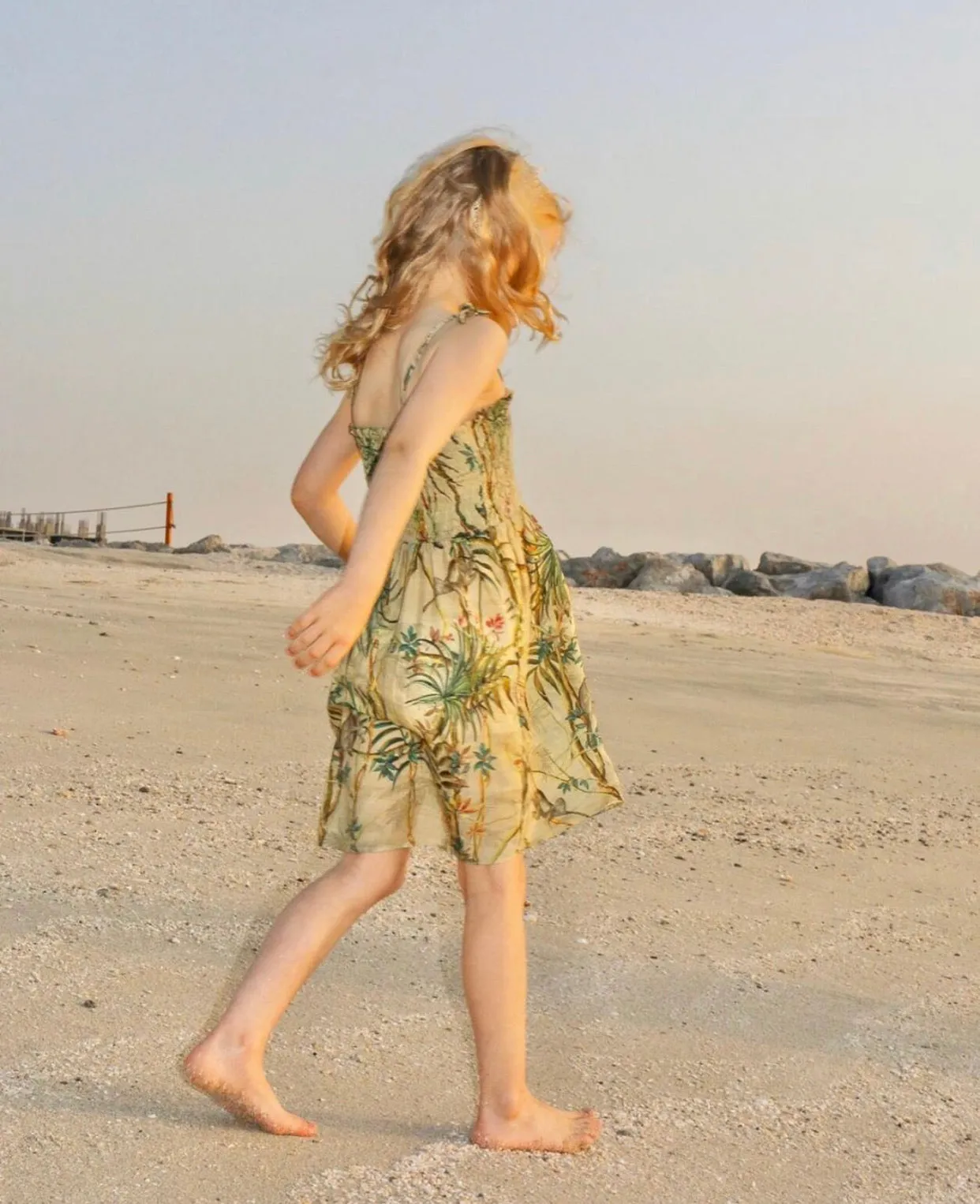 Monkey print Mary dress