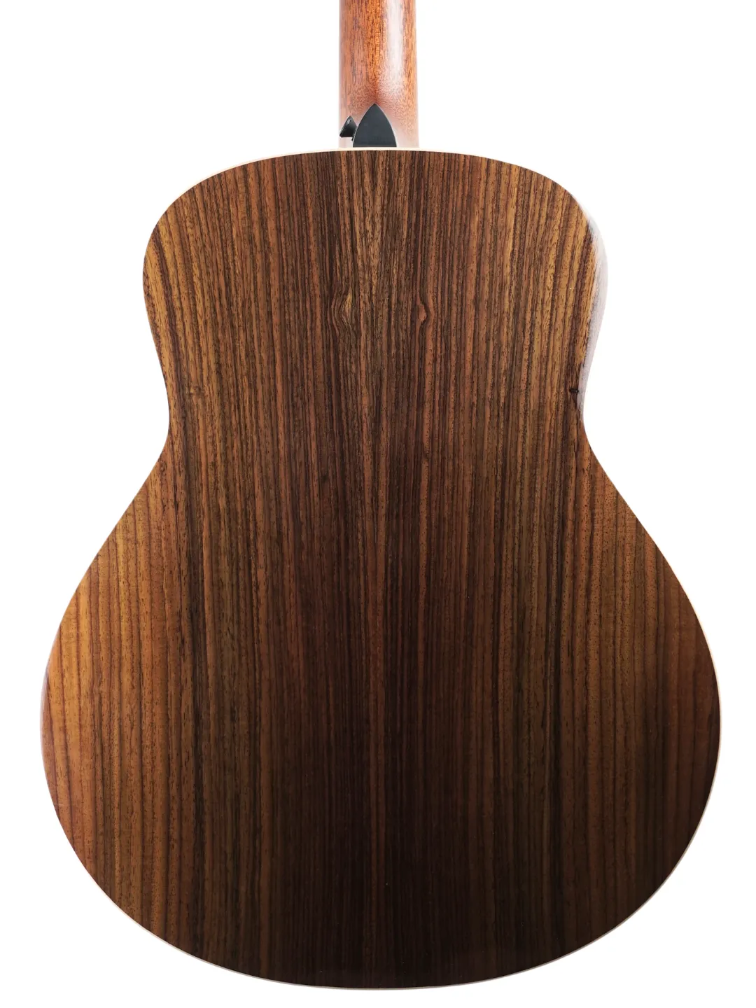 Taylor GT 811e - USA 2022