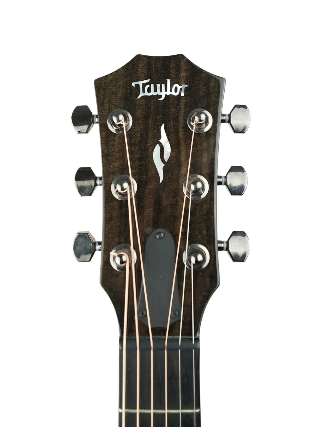 Taylor GT 811e - USA 2022
