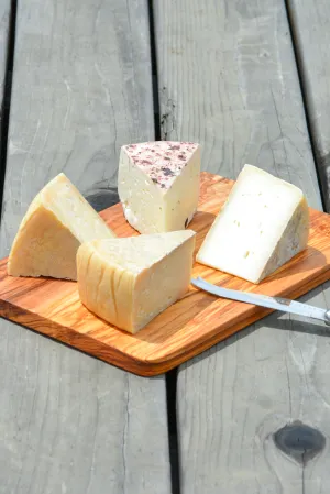 The Corners Sampler