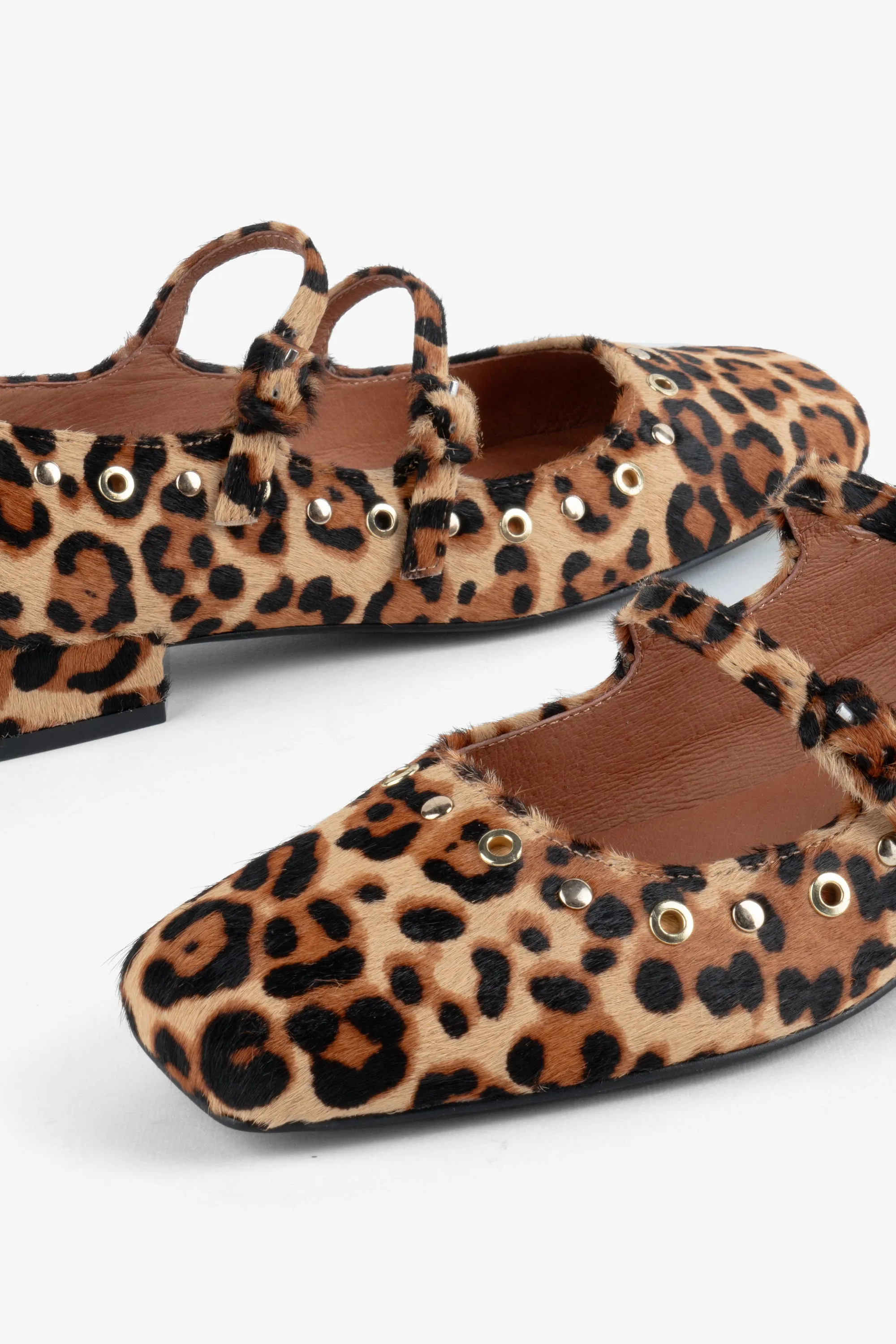 Venezuela Leopard