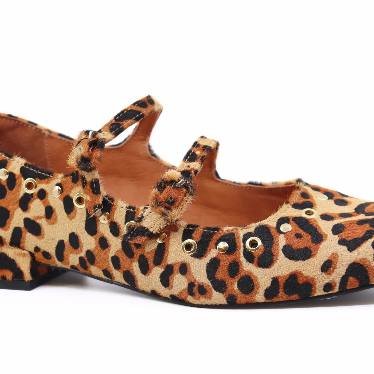 Venezuela Leopard