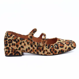 Venezuela Leopard