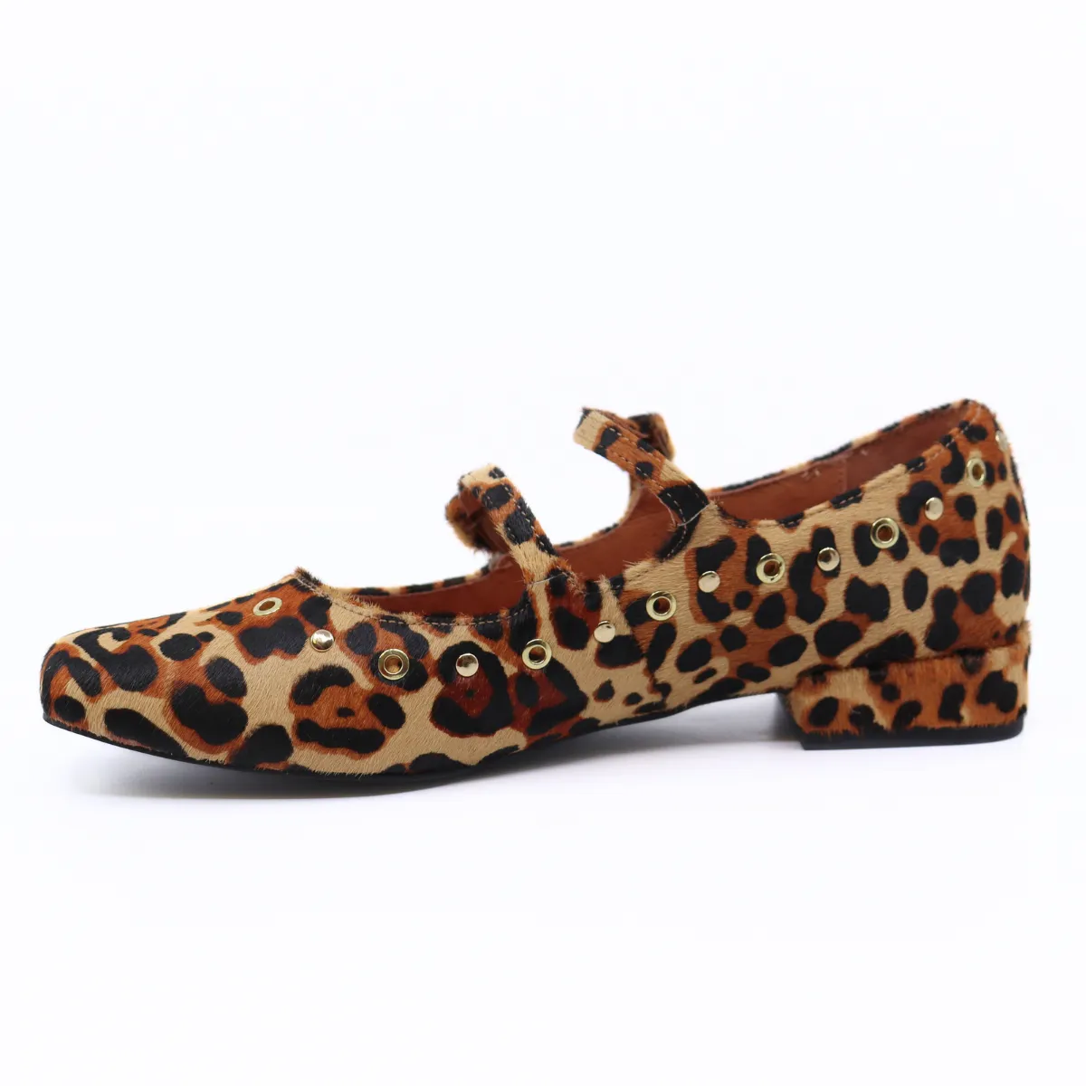 Venezuela Leopard
