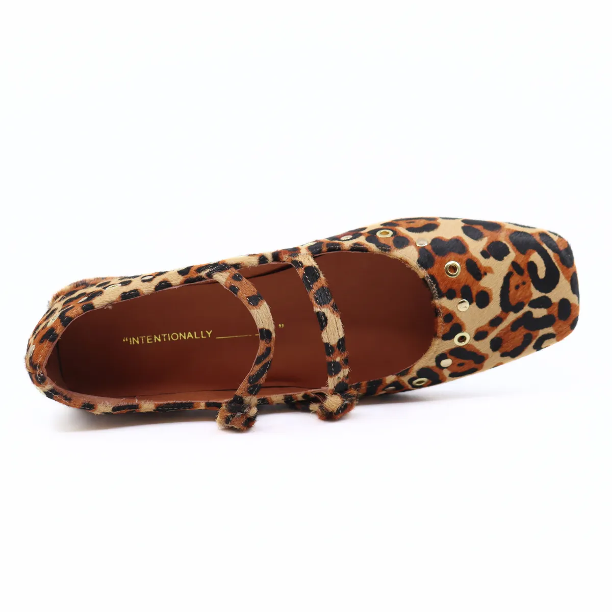 Venezuela Leopard