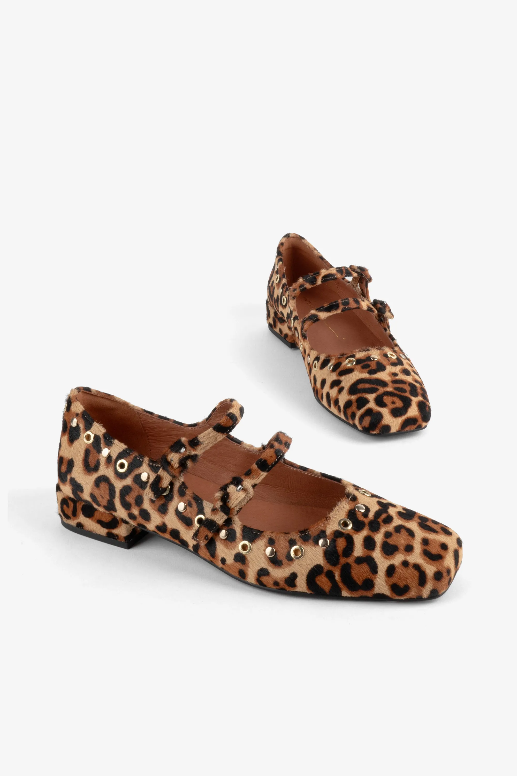 Venezuela Leopard